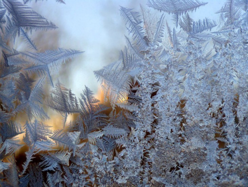 Из-за морозов в Воронеже пострадали семь человек