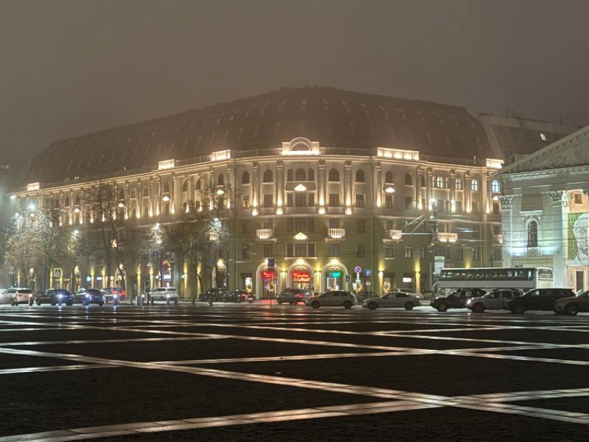 Новогодний подарок прямо в центре города сделали воронежским автомобилистам 