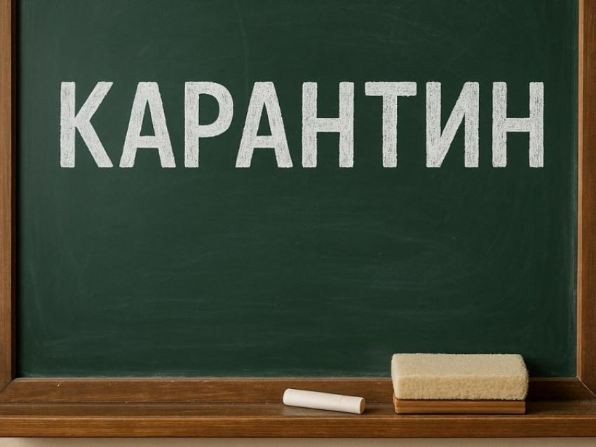 Больше 200 классов закрыли на карантин в Воронеже