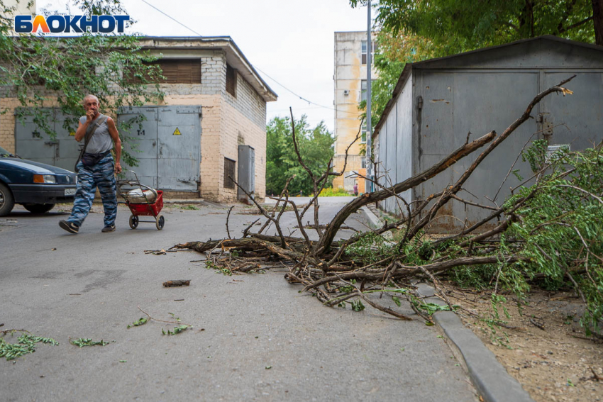 Опасное погодное явление случится во время потепления в Воронежской области