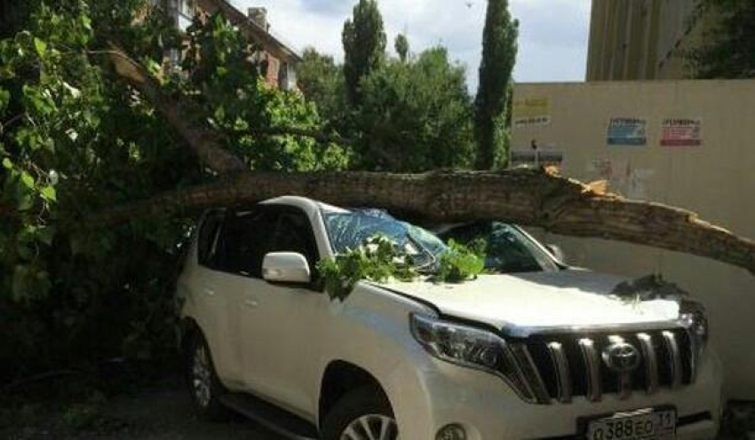 Водитель элитного внедорожника едва не погиб после падения дерева в Воронеже