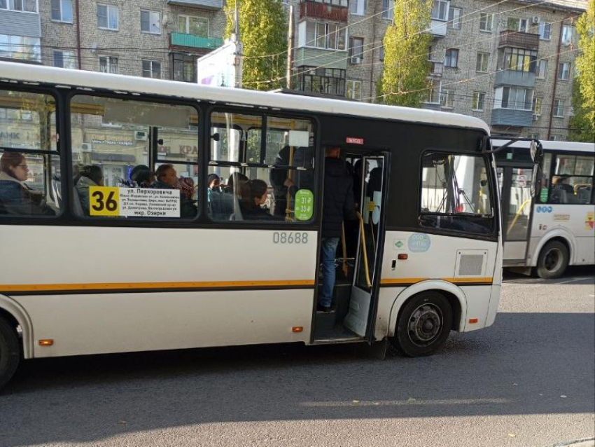 Ласковый и внимательный: почему воронежскому маршрутчику пожелали большую зарплату