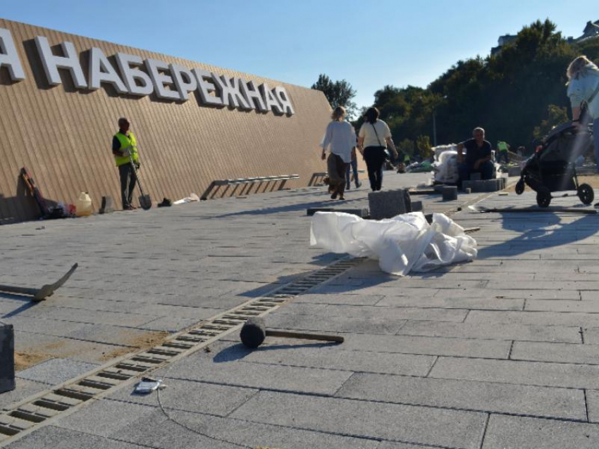 Для второй очереди Петровской набережной в Воронеже нужно срубить 199 деревьев 