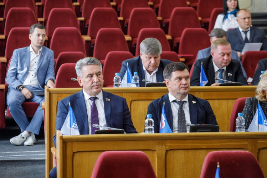 Закон о поддержке беременных с редким заболеванием приняла Воронежская облдума