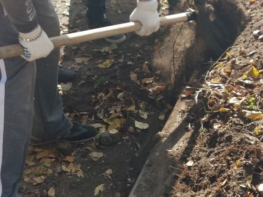 Принудительные работы в 2017 году стали новым видом уголовного наказания