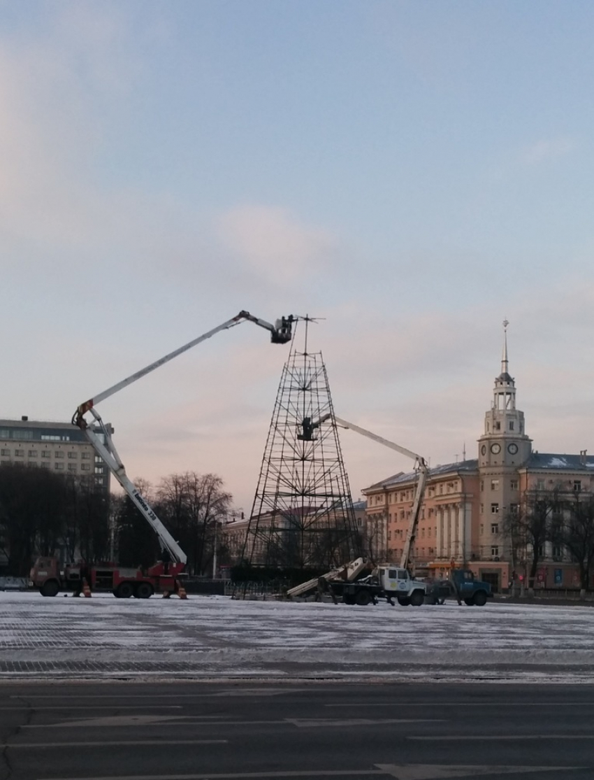  Главную новогоднюю ёлку в Воронеже установят к 18 декабря 
