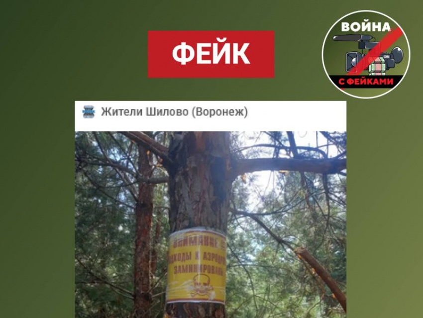 Фейк о заминированных дорогах к аэродрому разоблачили в Воронеже