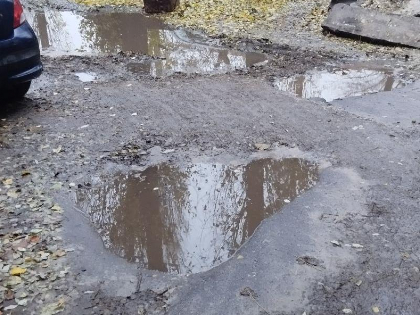 Кругом болото: непроходимый двор показали в Воронеже