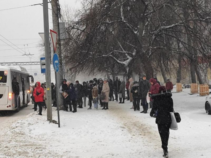 Чиновники объяснили маршруточный коллапс в Воронеже 
