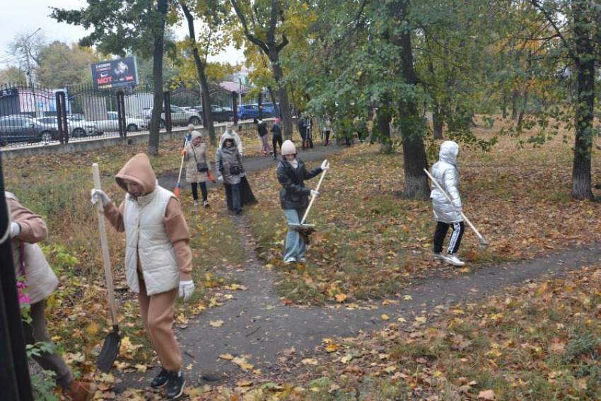 О сроках возможного обновления Бринкманского сада сказал вице-спикер Воронежской гордумы