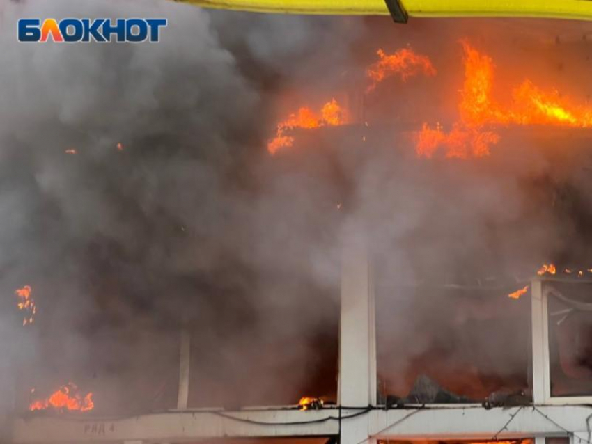 Мужчину убило обломком дрона на улице под Воронежем 