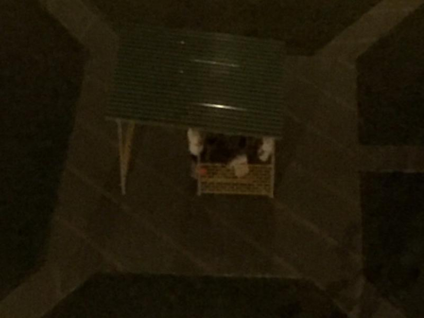  Ночное развлечение под окнами воронежцев сняли на видео