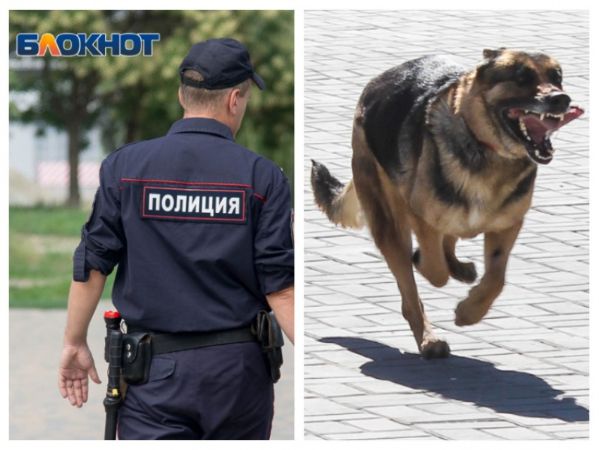 Собака покусала полицейского в Воронеже - он попал в больницу
