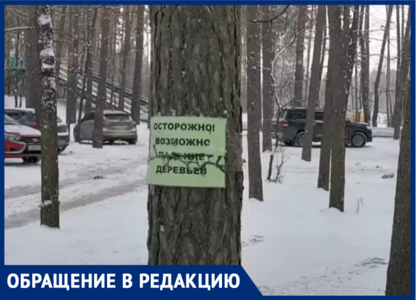 Воронежцы рискуют своими машинами ради стихийной парковки у «Олимпика»