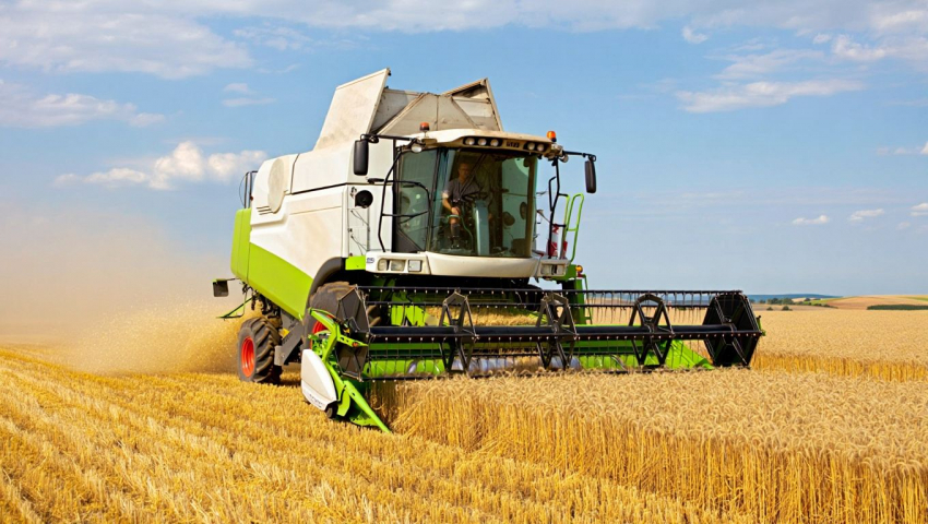 Маркетплейсы для села: по проекту ЕР фермеров и ремесленников научат продавать продукцию онлайн