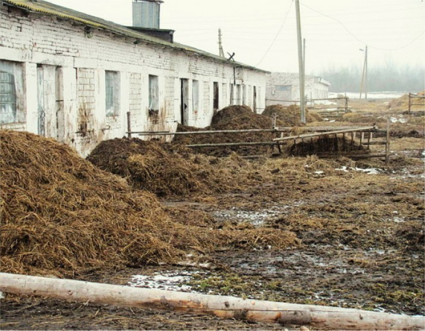 В Воронежской области сельхозпредприятие обязали не засорять природу
