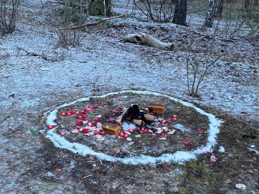 Следы подозрительного ритуала внутри солевого круга заметили в Воронеже