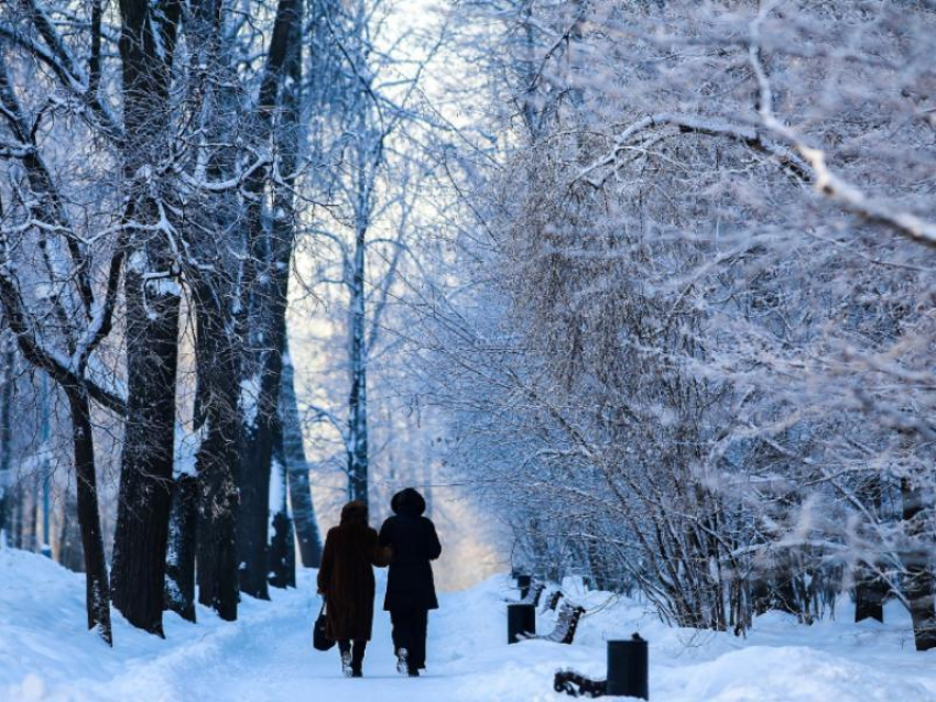 Синоптики рассказали, когда в Воронеж вернутся ярые морозы 