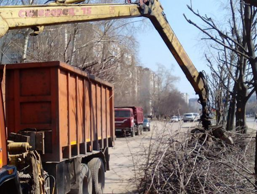 В мэрии Воронежа рассказали о текущем благоустройстве города