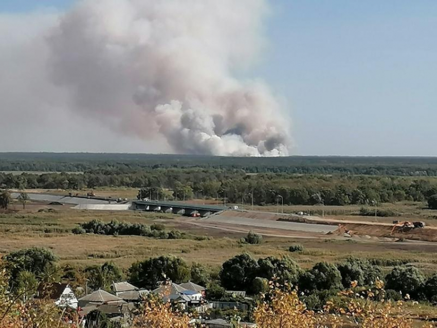 75 гектаров леса уничтожил огонь в воронежском селе 