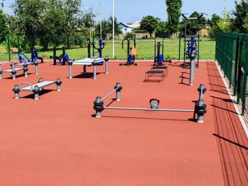 Создание шести площадок для сдачи норм ГТО анонсировал воронежский губернатор