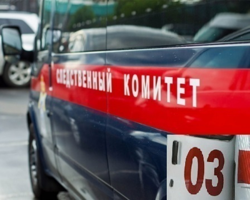 В Воронежской области мужчина потратил деньги и убил мать за упрек