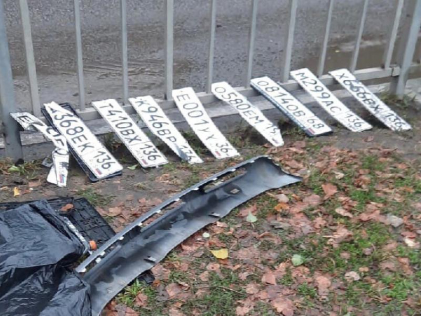 9 автомобильных номеров нашли в луже на улице в Воронеже