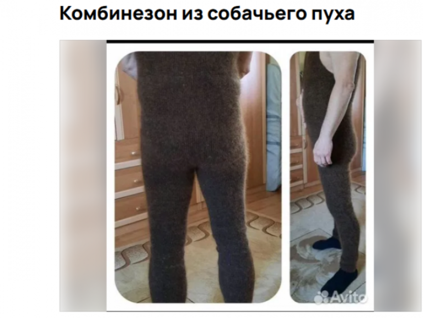 Зимний вариант: комбинезон из собачьего пуха продают за большие деньги в Воронеже