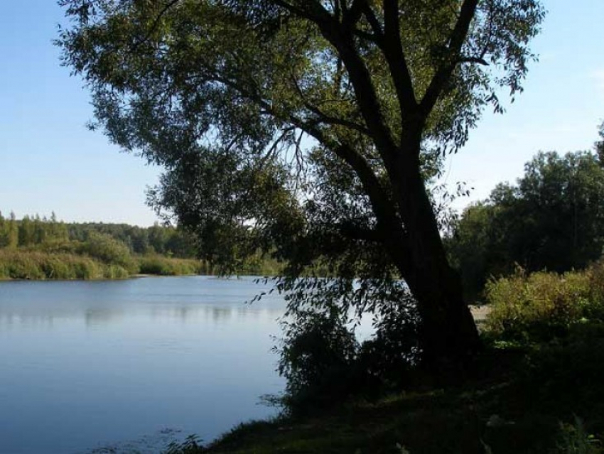 В Воронежской области на берегу реки найдены тела четырехлетней девочки и ее отца