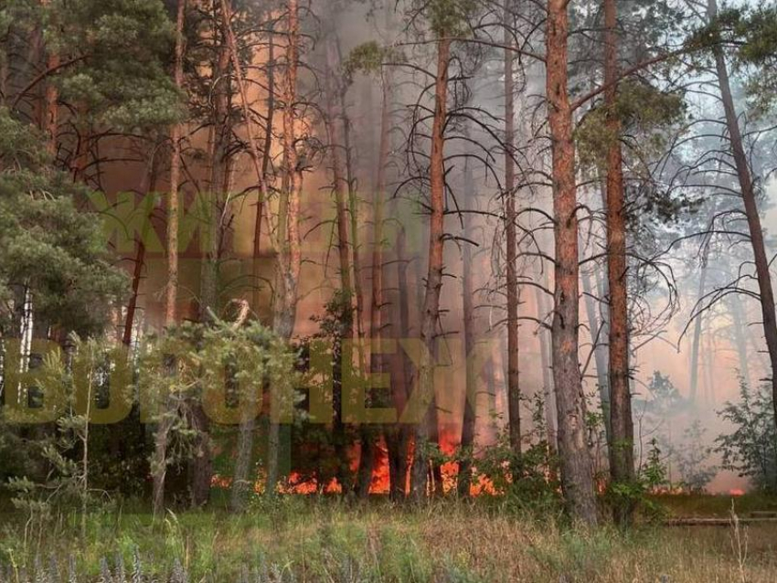 Сильный пожар разгорелся в Воронеже