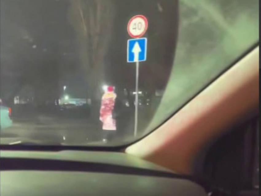 "Дикого» Дедушку Мороза заметили на воронежской улочке