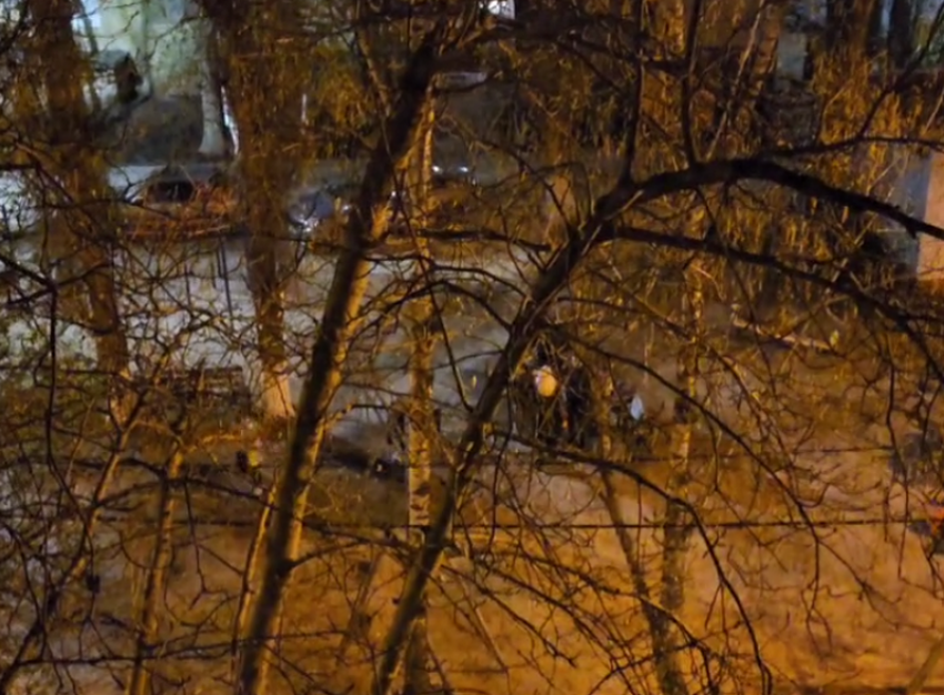 «Народ не пуганый»: безмятежную прогулку с детьми под вой сирен сняли в Воронеже 