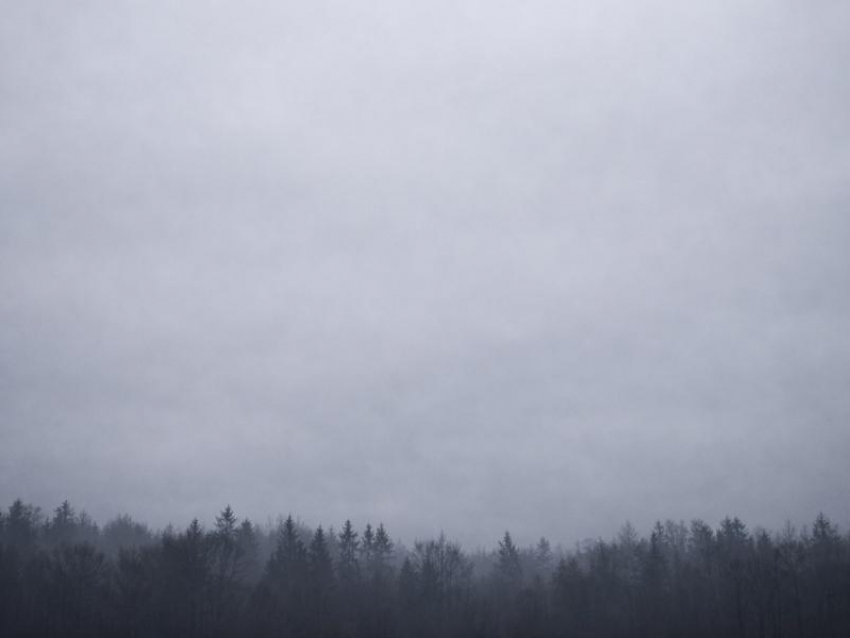 Недоброе утро с сиренами: БПЛА сбили на подлете к Воронежу 