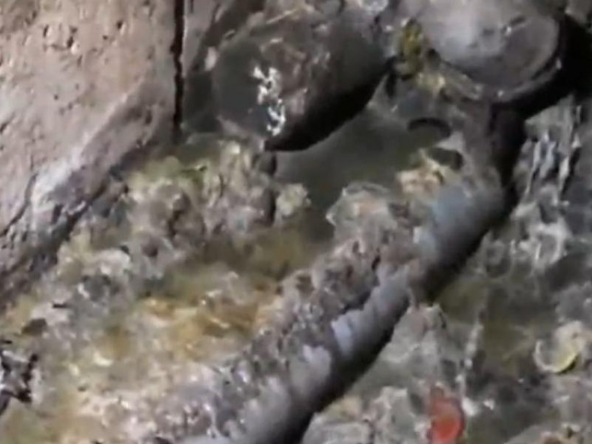 Единственное убежище в пятиэтажном доме тонет в фекалиях в Воронеже