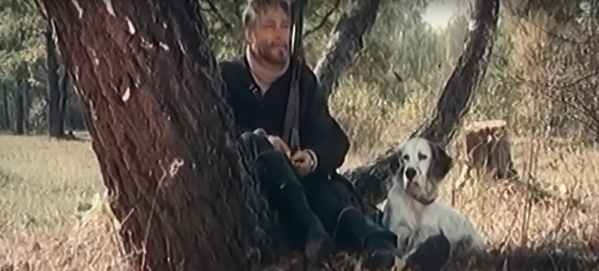 Премьера фильма «Белый Бим Черное ухо» по произведению воронежца Троепольского состоялась 48 лет назад