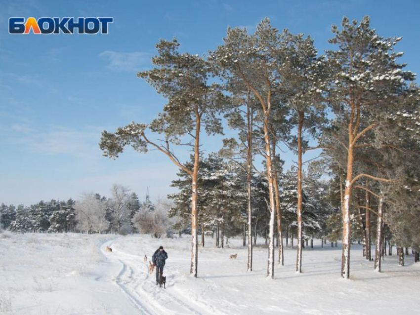 27-градусные морозы ударят по Воронежской области  