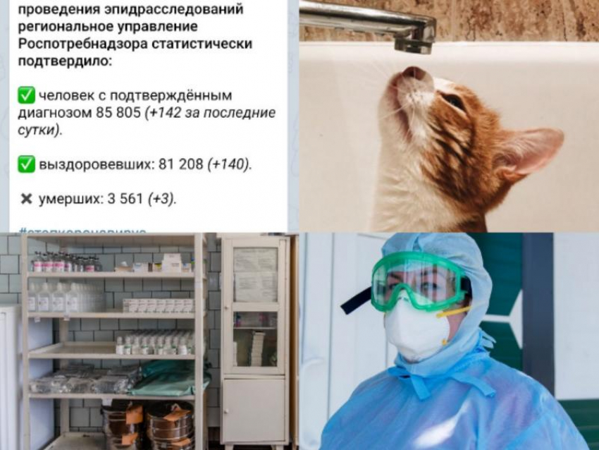 Коронавирус в Воронеже 6 июня: три смерти, три дома без воды и бесплатные лекарства