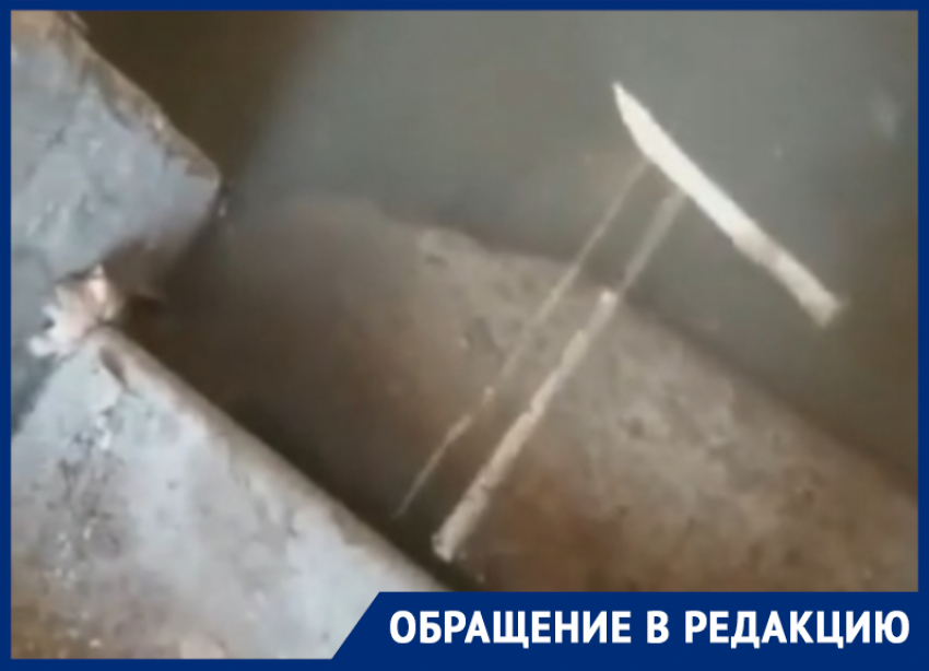 Подвал затопило фекальными жидкостями по самые ступеньки в Воронеже