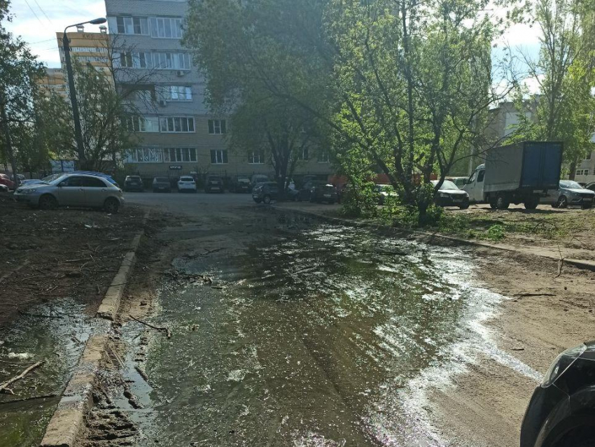 Дом у болота 2022. Во дворе. Двор в городе. Болото во дворе МКД. Воронеж дворы.