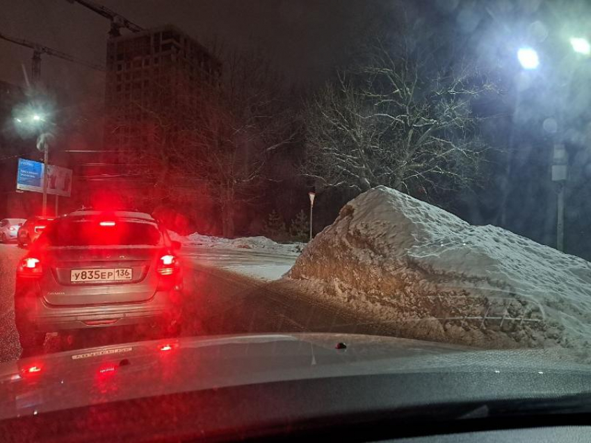 Именем воронежского чиновника назвали кучу на Ломоносова 