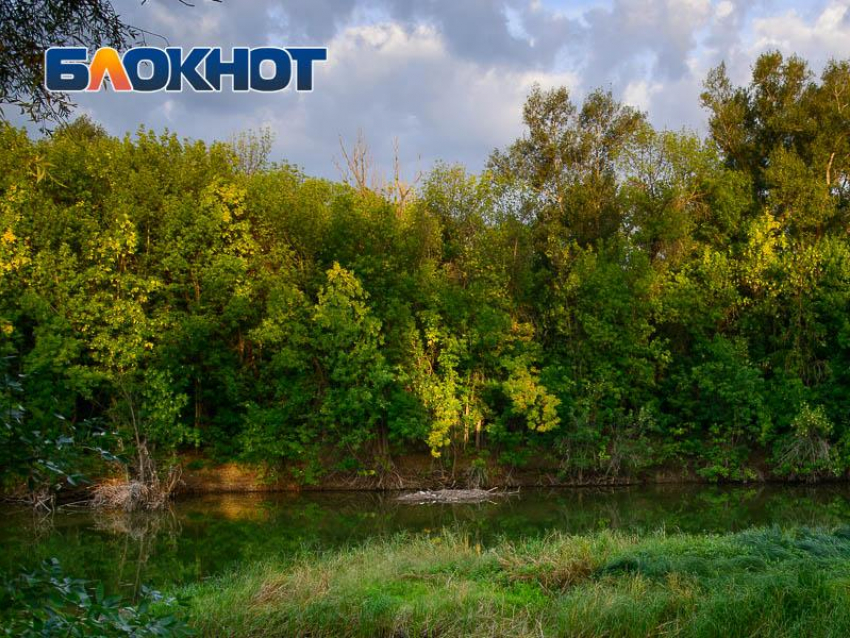 Пропавшую 81-летнюю пенсионерку нашли возле кладбища в Воронежской области