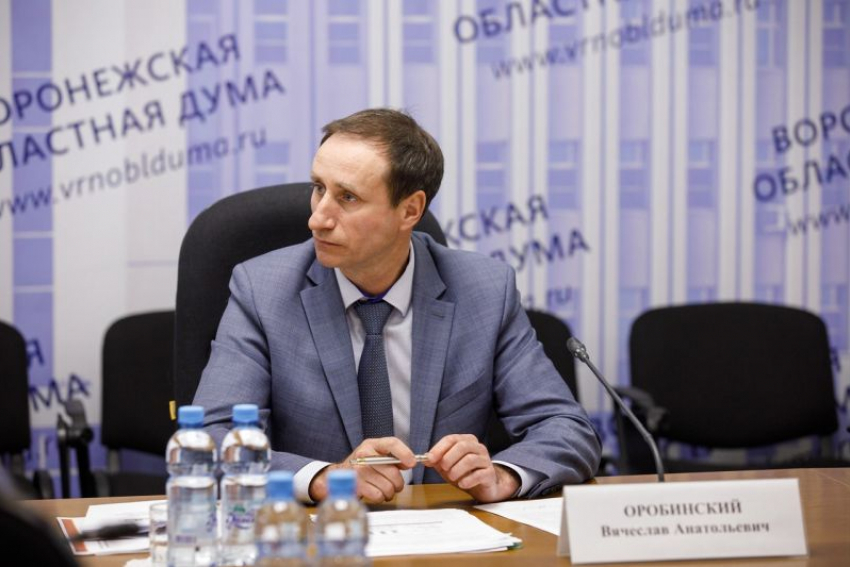 Министр лесного хозяйства Воронежской области Вячеслав Оробинский ушел в отставку