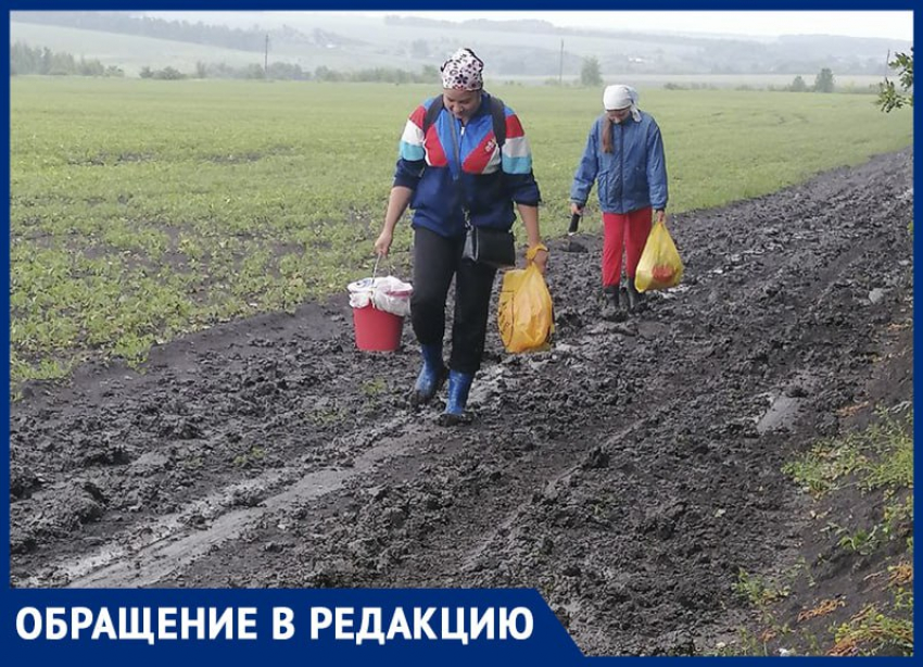 Как жутко и гадко выглядит дорога из воронежского села, показали жители 