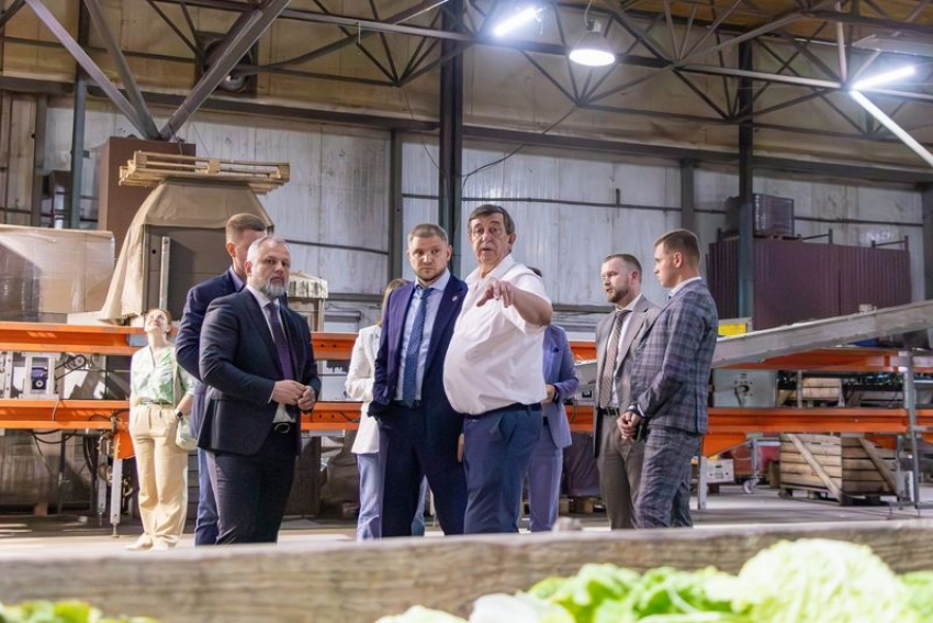 Уникальный агроагрегатор запустили для фермеров в Воронежской области