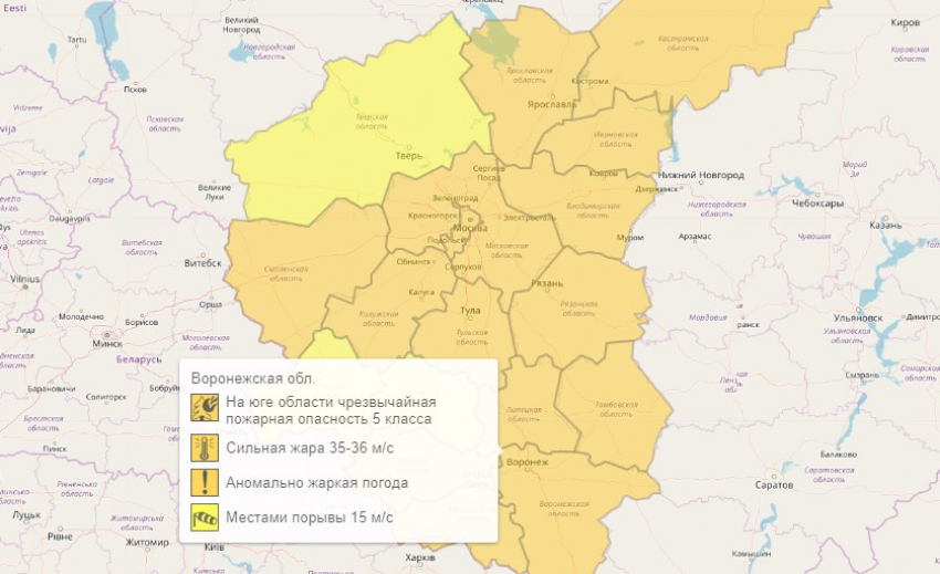 Оранжевый уровень вернулся в Воронежскую область из-за четырех опасных явлений