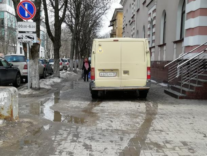 За обвиненных в автохамстве инкассаторов «впряглись» воронежцы