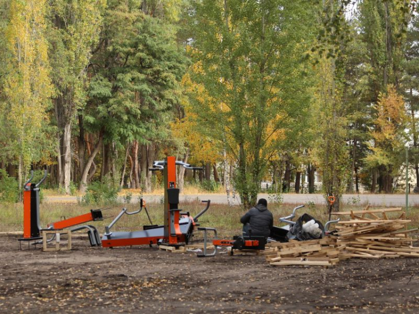 Началась установка уличных тренажеров в обновляемом парке «Танаис» в Воронеже