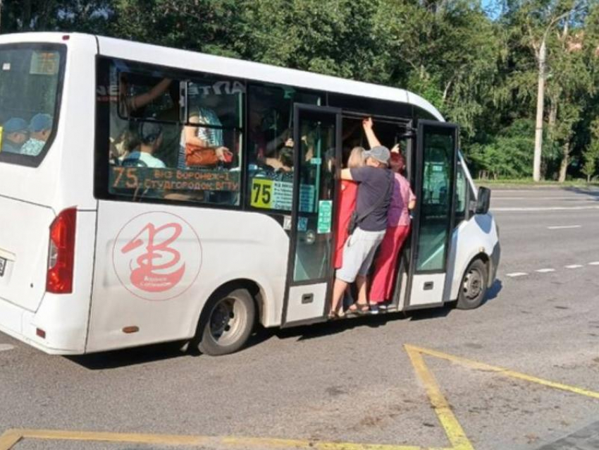 Битва за переполненную маршрутку попала в кадр в Воронеже