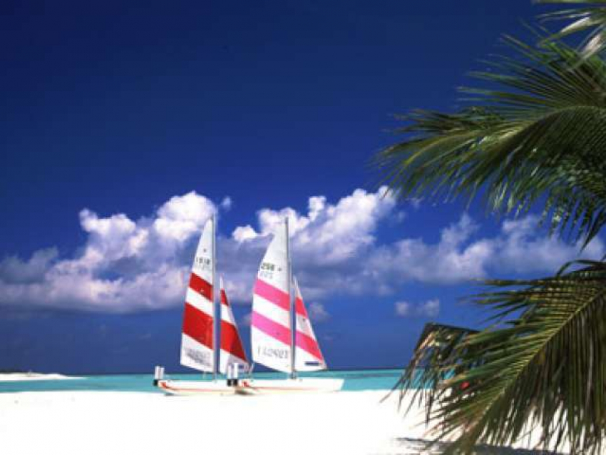 Воронежская прокуратура возбудила административные дела в отношении турфирм