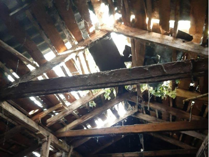 20-метровый тополь рухнул на жилой дом в Воронеже 
